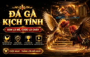 Sảnh Đá Gà distinguished21